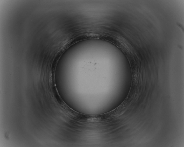 X0000093360700200710111309