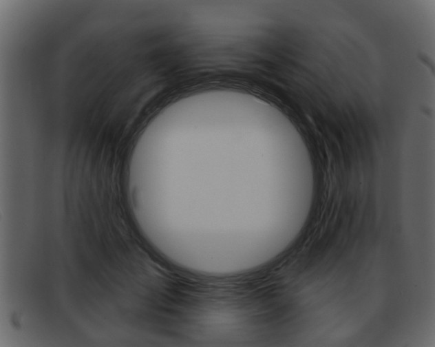 X0000093360701200710111309