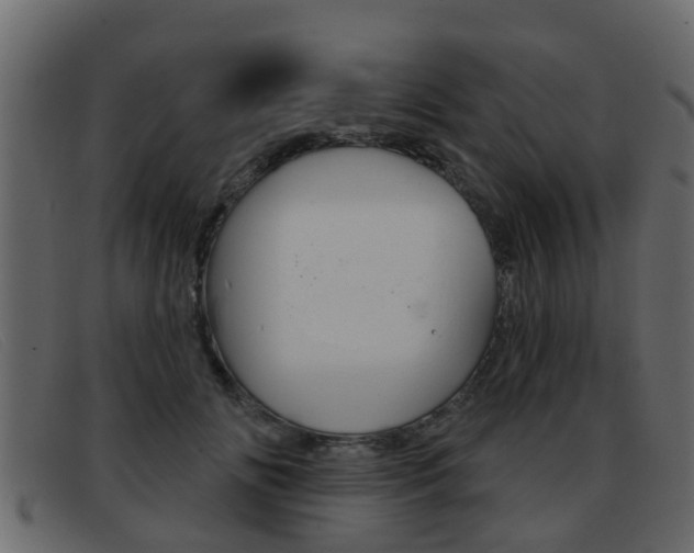 X0000093360702200710111309