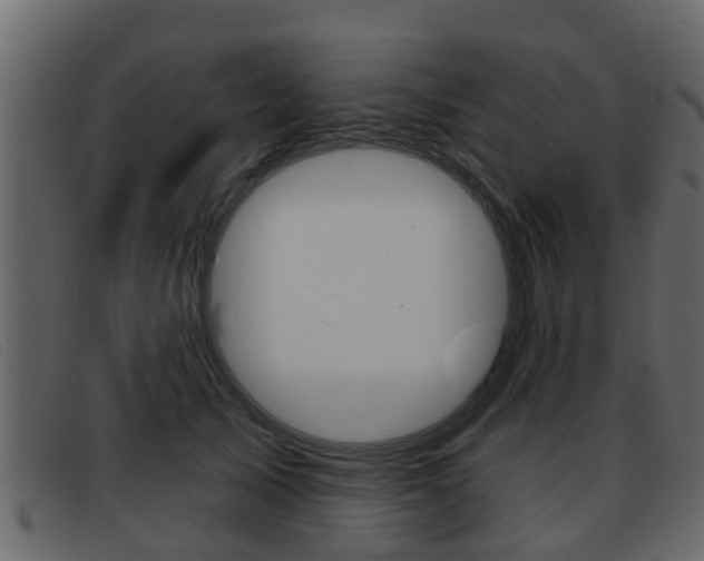 X0000093360705200710111308