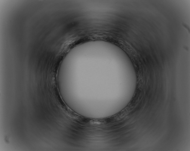 X0000093360706200710111308