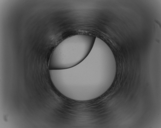 X0000093360707200710111308