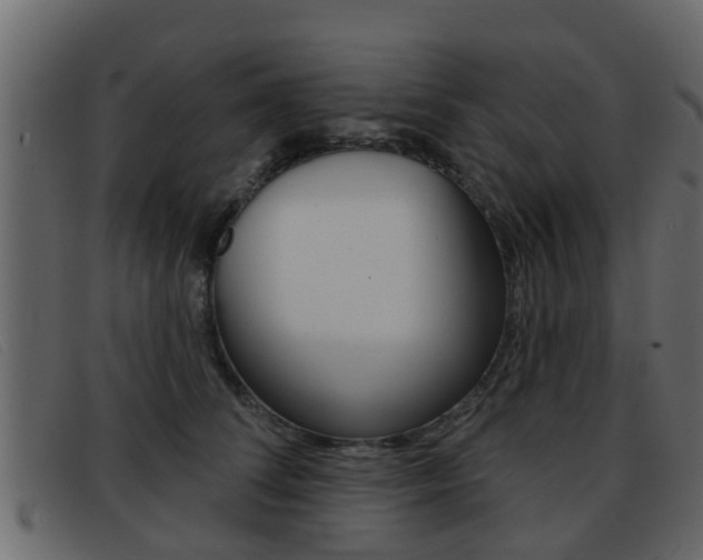 X0000093360708200710111308
