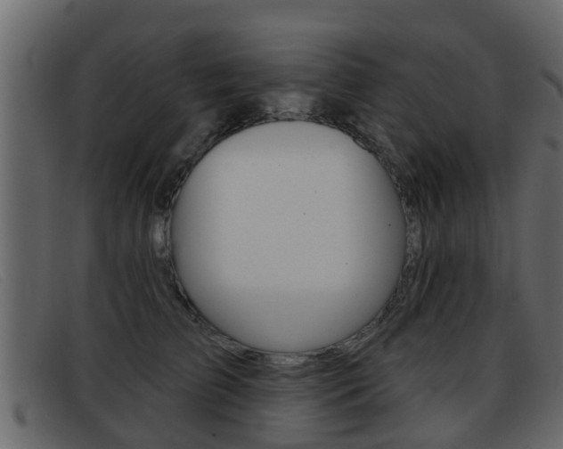 X0000093360709200710111308