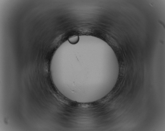 X0000093360710200710111308