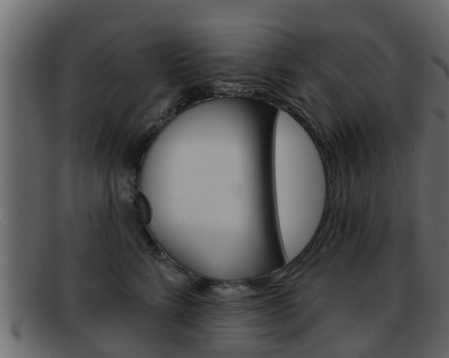 X0000093360712200710111308