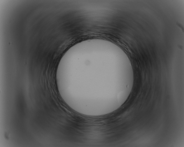 X0000093360713200710111308