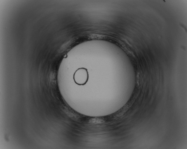 X0000093360714200710111308