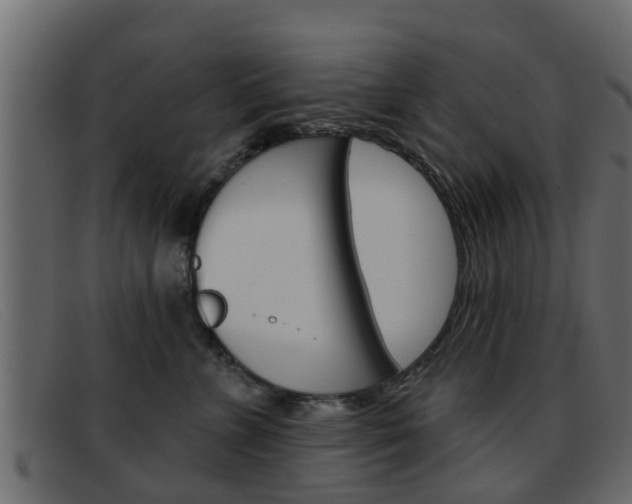 X0000093360715200710111308