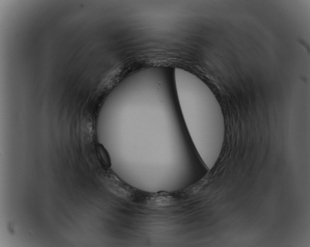 X0000093360716200710111308