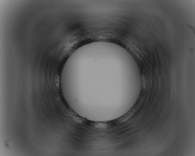 X0000093360718200710111308