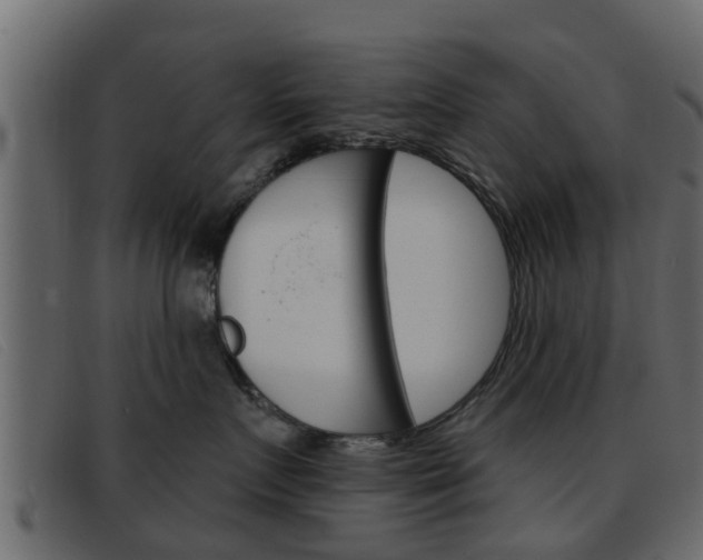 X0000093360719200710111308