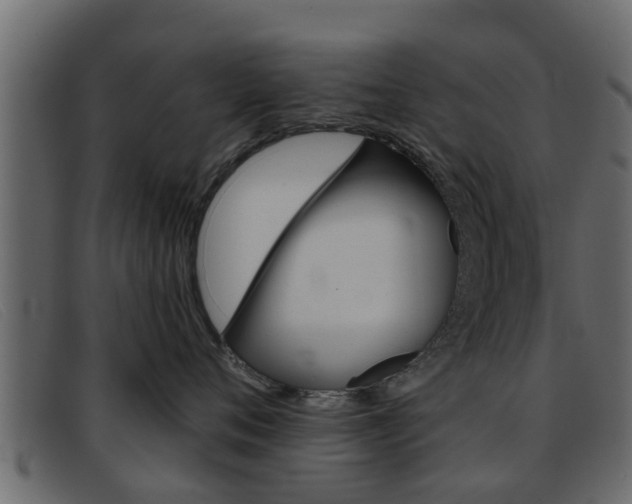 X0000093360720200710111308
