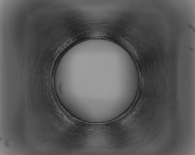 X0000093360721200710111308