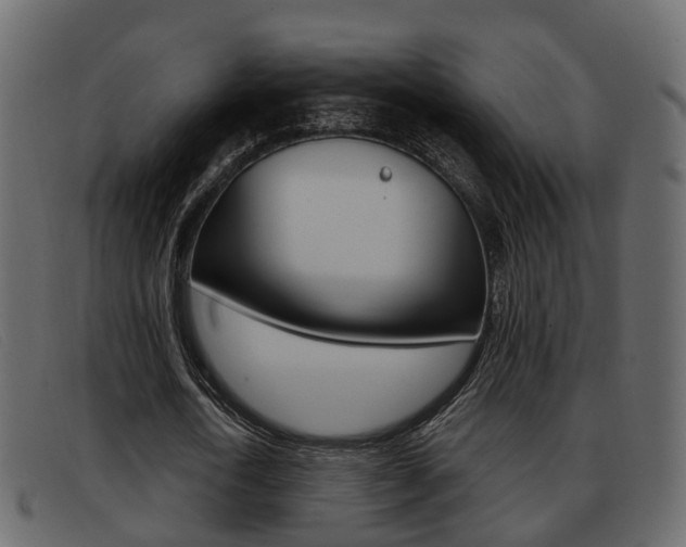 X0000093360722200710111308