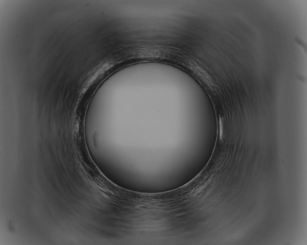 X0000093360723200710111308