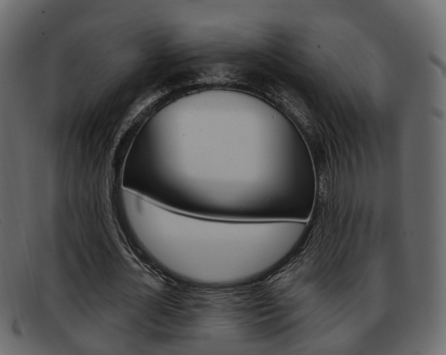 X0000093360724200710111308