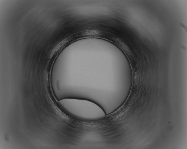 X0000093360725200710111308