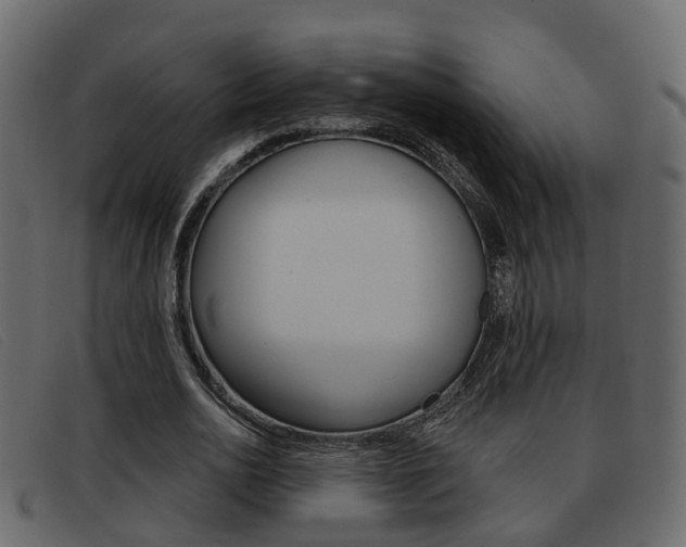 X0000093360726200710111308