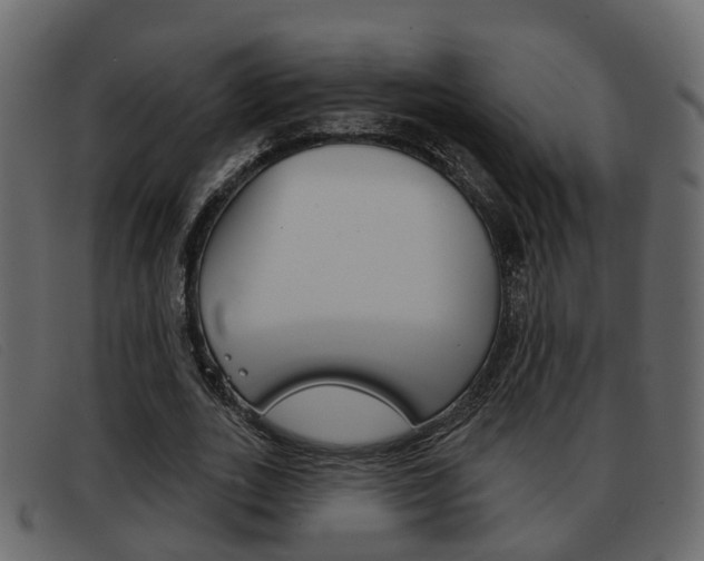 X0000093360727200710111308