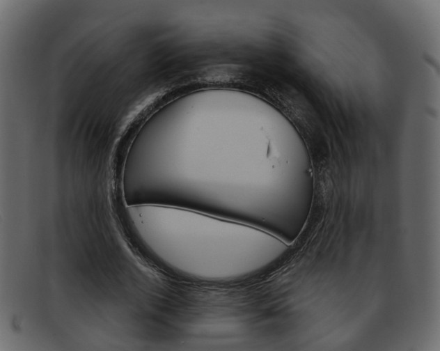 X0000093360728200710111308