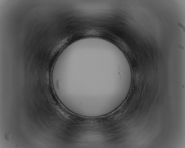 X0000093360729200710111308