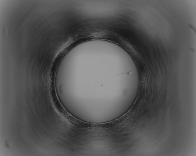 X0000093360730200710111308