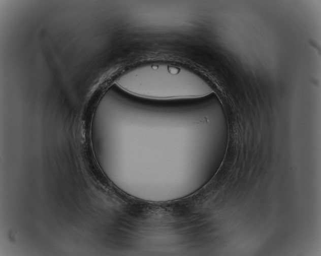 X0000093360731200710111308