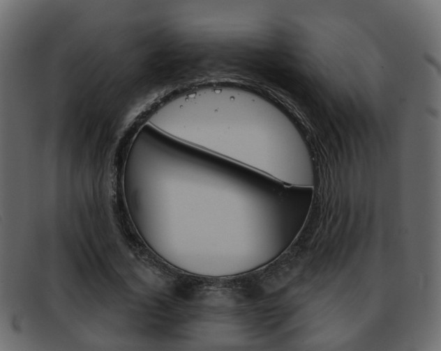 X0000093360732200710111308