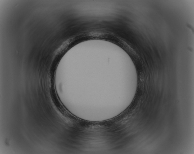 X0000093360734200710111308
