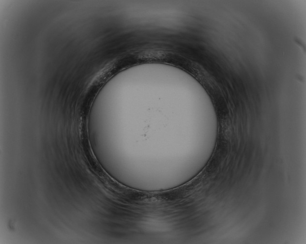 X0000093360735200710111308