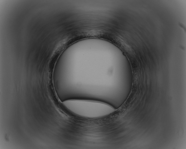 X0000093360736200710111308