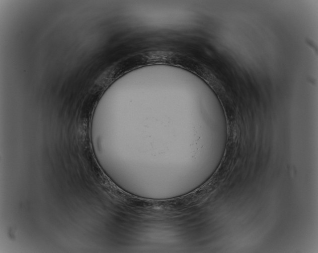X0000093360737200710111308