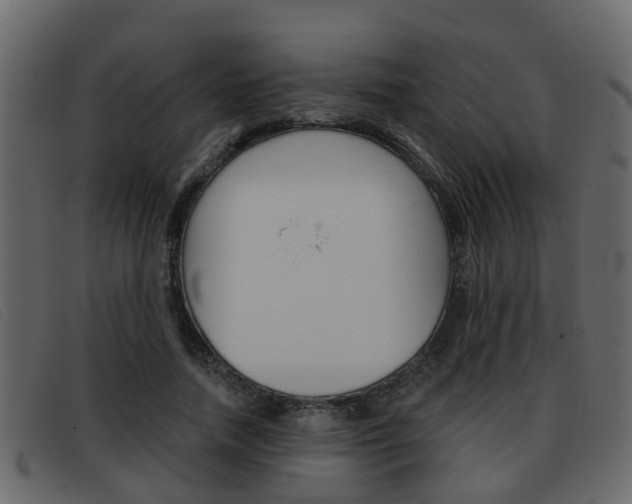 X0000093360738200710111308