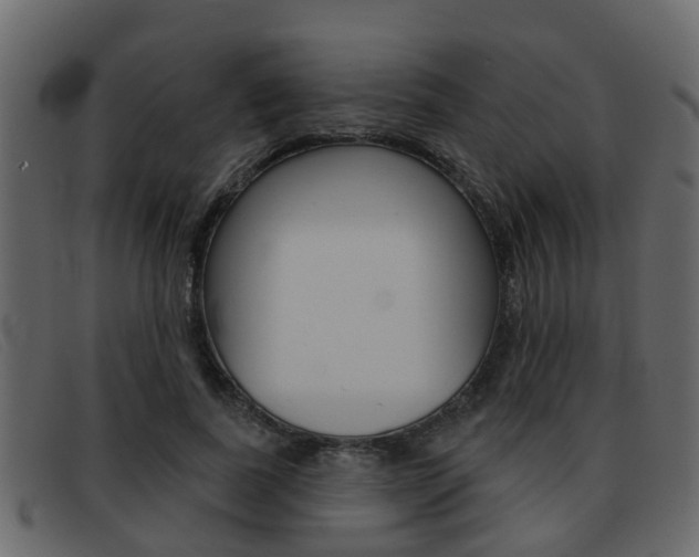 X0000093360739200710111308