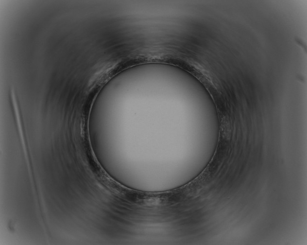X0000093360740200710111308
