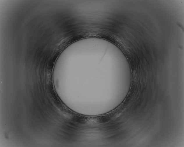X0000093360741200710111308