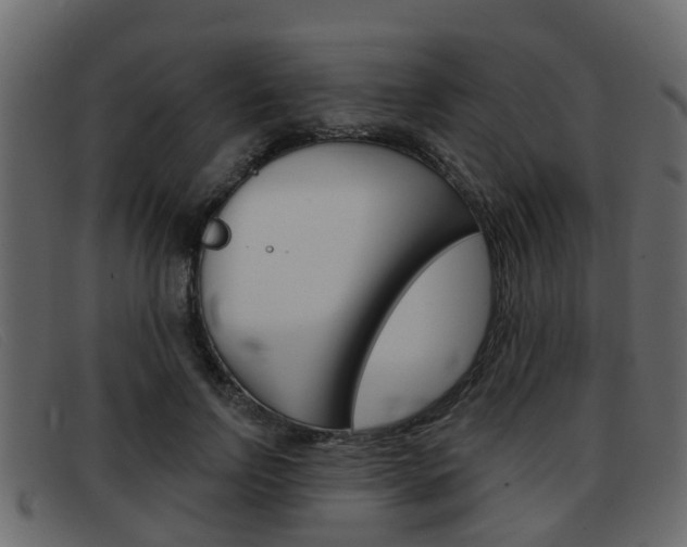 X0000093360742200710111308