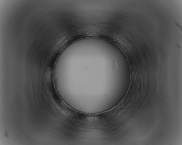 X0000093360744200710111308