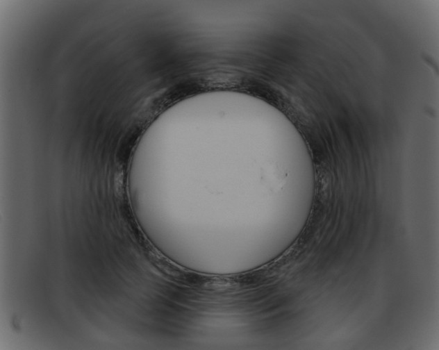 X0000093360745200710111308
