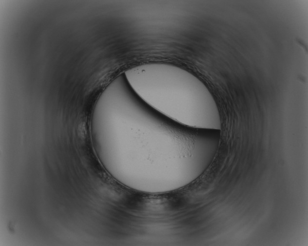 X0000093360746200710111308