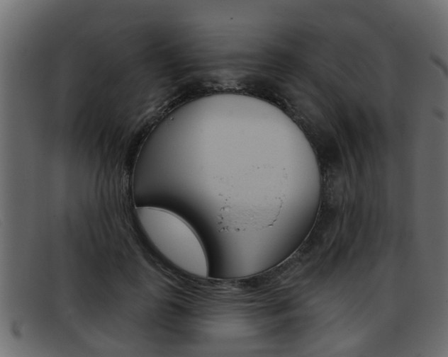 X0000093360747200710111308
