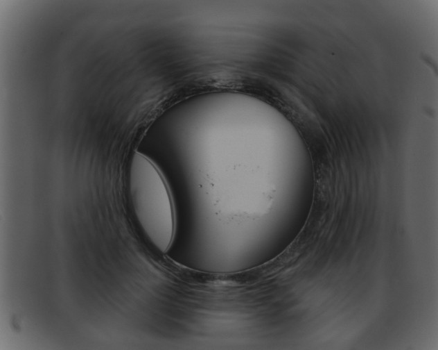 X0000093360748200710111308