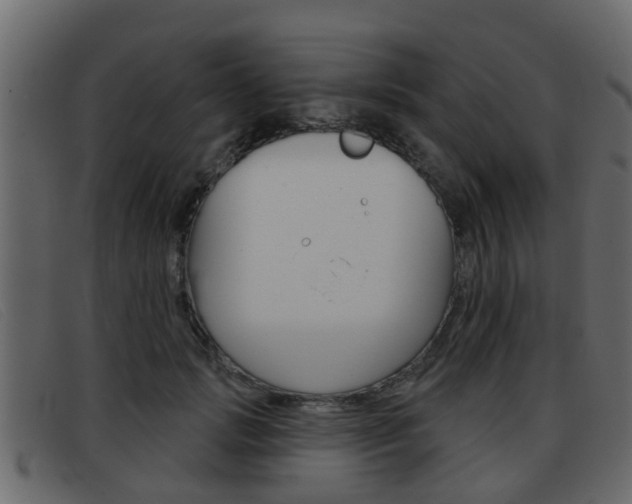 X0000093360749200710111308