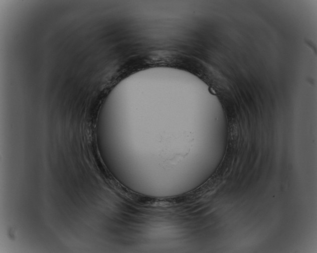 X0000093360751200710111308