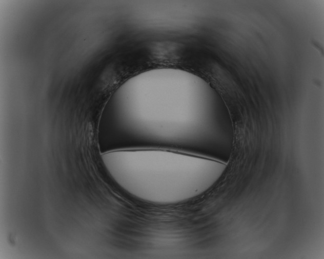 X0000093360752200710111308