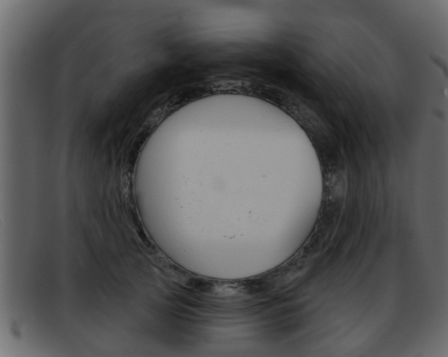 X0000093360753200710111308