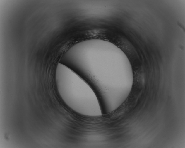 X0000093360754200710111308
