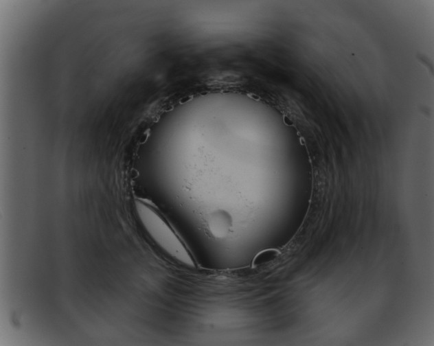 X0000093360755200710111308