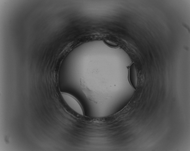 X0000093360756200710111308